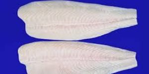 Pangusius Fillets