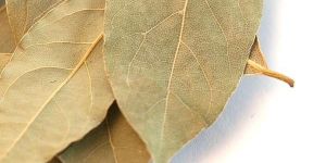 Dried Bay Leaves