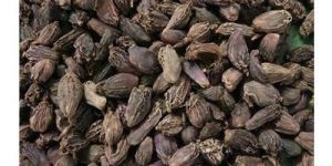 Dried Black Cardamom