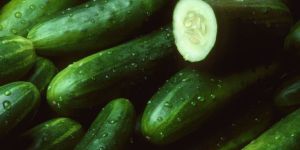 Organic Cucumber