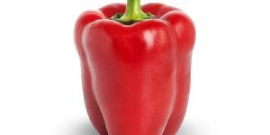 Red Capsicum