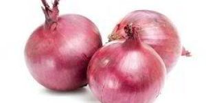 Fresh Red Onion
