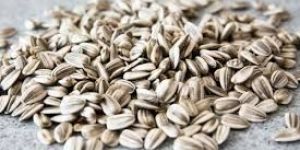 Roasted Sunflower Seeds