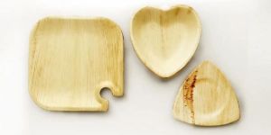 Eco Friendly Areca Leaf Plate