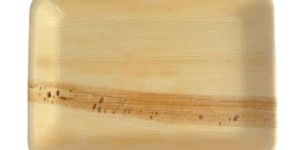 Natural Areca Leaf Plate