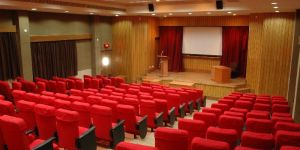 Cinema Seating Chairs