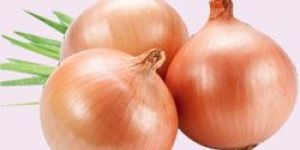 Organic Onion