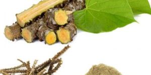 Tinospora Cordifollia Extract