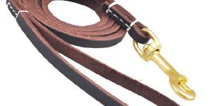Dog Leather Leash
