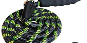 Dog Polyester Leash