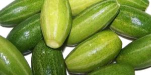 Natural Pointed Gourd