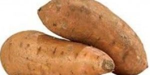 Fresh Sweet Potato