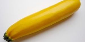 Fresh Yellow Zucchini
