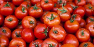 Fresh Solanum Lycopersicum