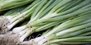 Green Onion Leaves