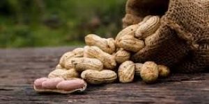 Shelled Groundnuts