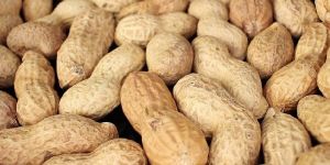 Shelled Peanuts