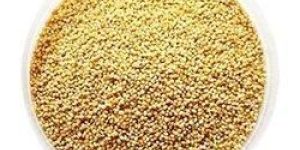 Indian Foxtail Millet