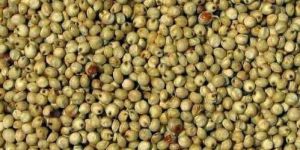 Natural Jowar Seeds