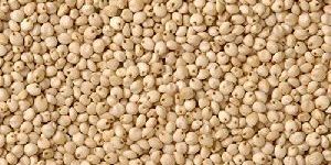 Whole Jowar Seeds