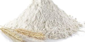 Wheat Flour