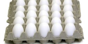 White Poultry Eggs