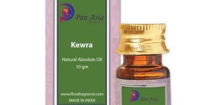 Kewra Absolute Oil