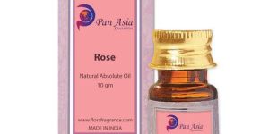 Rose Absolute Oil