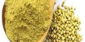 Green Coriander Powder