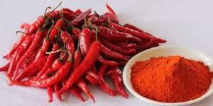 Kashmiri Red Chilli Powder