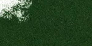 Organic Spirulina Powder