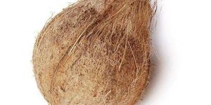 Semi Husked Coconut