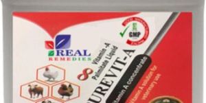 Cattle Feed Supplement