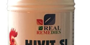 Hivit SL Veterinary Medicines