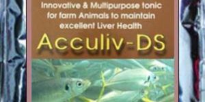 Poultry Feed Supplement