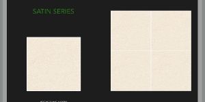 Polished Vitrified Floor Tiles