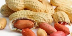 Shelled Groundnuts