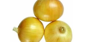 Yellow Onion