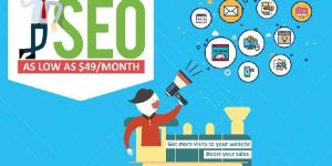 Search Engine Management