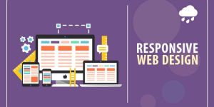 Website Development Services