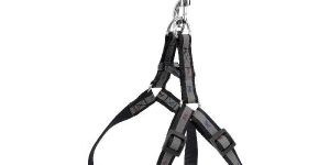 Pet Harnesses