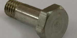 SS Hex Half Thread Bolt