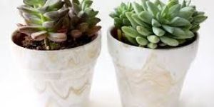 Marble Pots