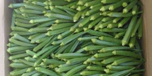 Fresh Okra