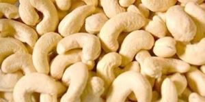 W240 Cashew Nuts