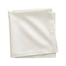 Cloth Napkin