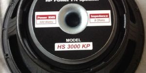 Powered Speaker 300 Watts