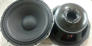 Professional Speakers