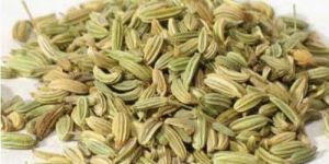 Organic Fennel Seeds