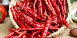 Raw Dried Red Chilli